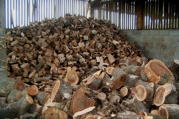 where are the bochs logs stored